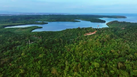 Tropical landscape with trees at Turtle Bay, Philippines. Palawan, on Puerto Stock Footage 296578612