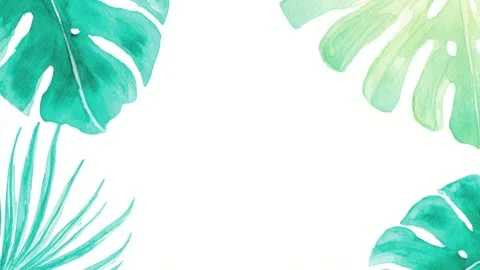 Tropical leaf border frame with copy space, hand drawn digital stop motion .. Stock Footage 342042966