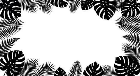 Tropical leaf border with monstera and palm trees Stock Illustration