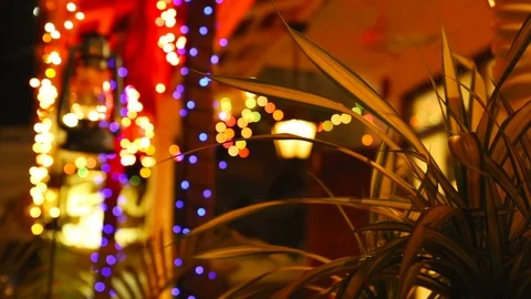 Tropical leaf closeup on Colourful Abstract lights blurred background. Street Video stock 88769899