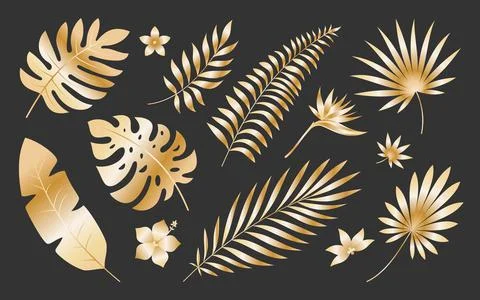 Tropical leaf flower luxury gold silhouette set Stock Illustration