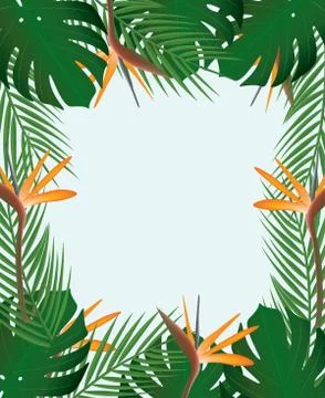 Tropical leaf frame Stock Illustration