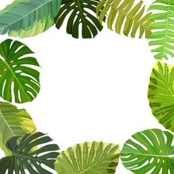 Tropical leaf frame 스톡 일러스트