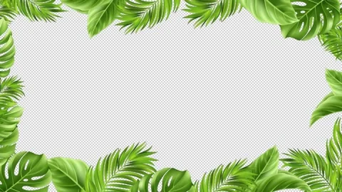 Tropical Leaf Frame Loop With Alpha Channel Stock Footage 333029906