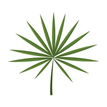 Tropical leaf icon Stock Illustration