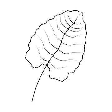 Tropical leaf icon Illustrazione stock