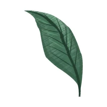 Tropical leaf icon image Illustrazione stock