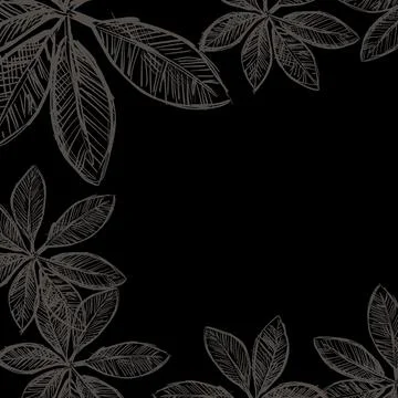Tropical Leaf line drawing background. Poster/Template. Stock Illustration