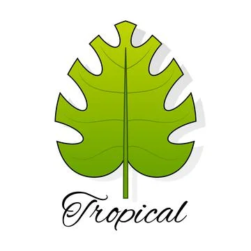 Tropical leaf logo vector for design and printing of postcards Stock-Illustration