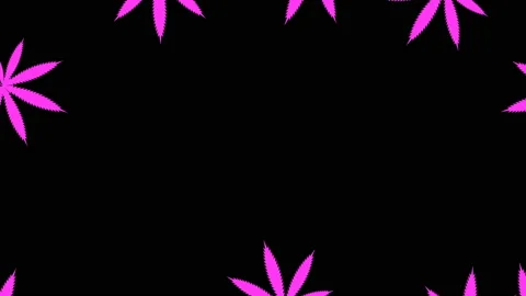 Tropical leaf minimal motion design animation 스톡 동영상 113465135