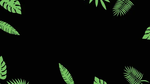 Tropical leaf minimal motion design animation 스톡 동영상 113465297