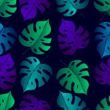 Tropical leaf monstera seamless pattern, black background. Stock Illustration