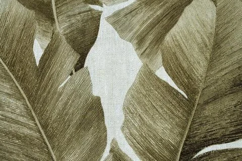 Tropical Leaf Pattern Wallpaper Design Tropical Leaf Pattern Wallpaper Des... 스톡 사진