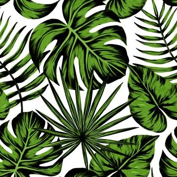 Tropical leaf seamless pattern. Colorful vivid print with beautiful palm jungle Stock Illustration