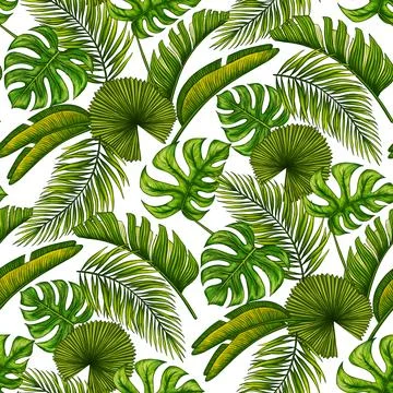 Tropical leaf seamless pattern. Colorful vivid print with beautiful palm jungle Stock Illustration