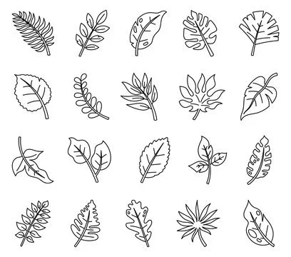 Tropical leaf set featuring monstera philodendron Stock Illustration