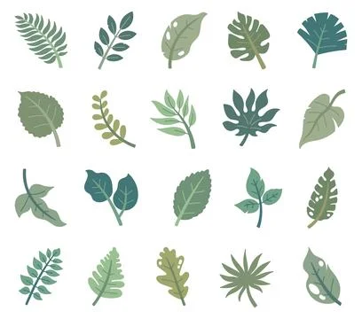Tropical leaf set featuring monstera philodendron Stock Illustration