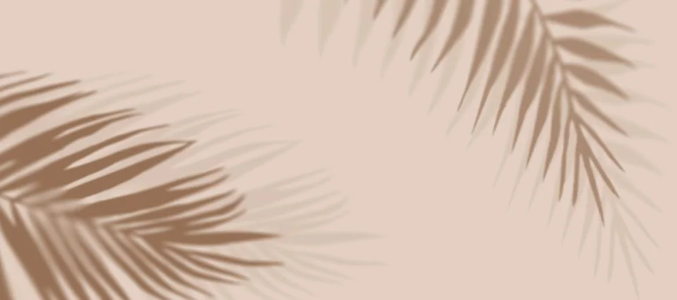 Tropical Leaf Shadow Background Design. Palm Neutral Creative Copyspace Stock Illustration