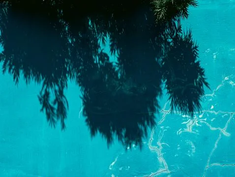 Tropical Leaf Shadows Cast on Textured Turquoise Painted Concrete Wall with.. Stock Photos