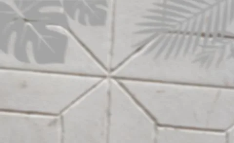 Tropical leaf shadows cast on a white geometric tiled wall background Stock Illustration