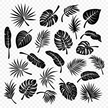 Tropical Leaf Silhouettes. Flat Vector Black and White Cutout Style Monstera Illustrazione stock