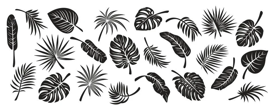 Tropical Leaf Silhouettes. Flat Vector Black and White Cutout Style Monstera Illustrazione stock