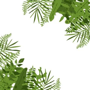 Tropical leaf square frame banner closeup vector Stock Illustration
