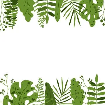 Tropical leaf square frame closeup banner vector Stock Illustration