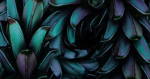 Tropical leaf texture, dark green foliage nature background Stock Photos