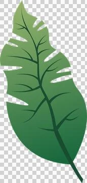Tropical leaf vector art is floating on transparent background, showing gradient 库存插图