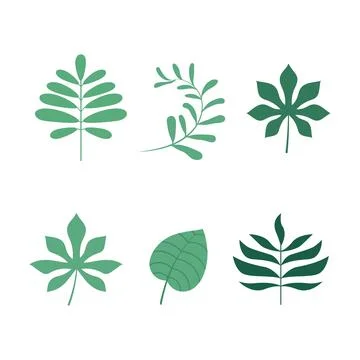 Tropical leaf Vector icon design illustration 스톡 일러스트