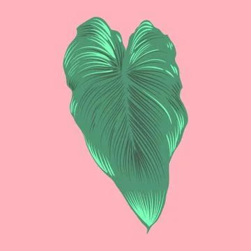 Tropical Leaf Vector Illustration Stock Illustration