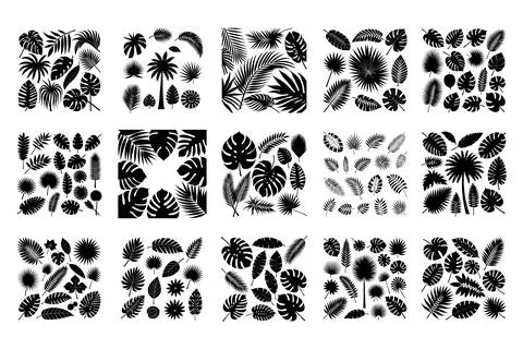 Tropical leaf vector, palm leaf silhouette, diverse leaf collection Stock Illustration