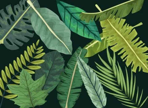 Tropical leafs botanical pattern background design Stock Illustration
