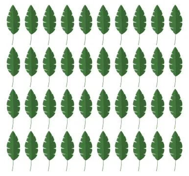 Tropical leafs ecology pattern 스톡 일러스트