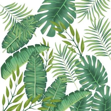 Tropical leafs foliage pattern background Stock Illustration