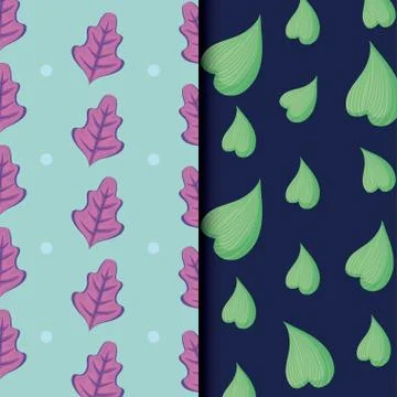 Tropical leafs icon patterns Illustrazione stock
