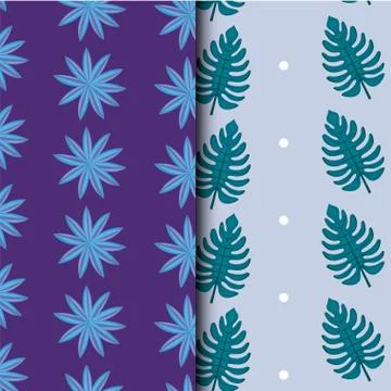 Tropical leafs icon patterns Illustrazione stock