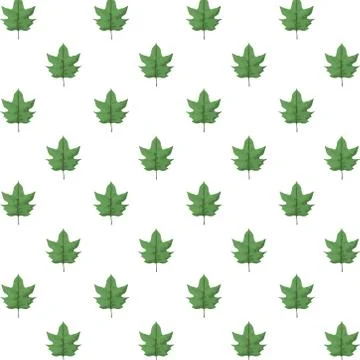 Tropical leafs palm nature pattern background 스톡 일러스트