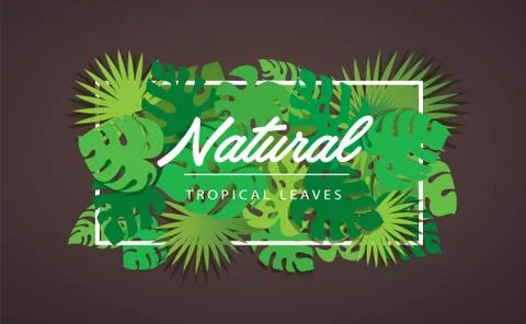 Tropical leafs template background vector Stock Illustration