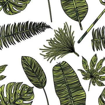 Tropical leaves. Beautiful seamless vector pattern background, exotic print. Stock Illustration