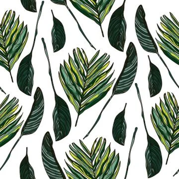 Tropical leaves. Beautiful seamless vector pattern background, exotic print. Stock Illustration