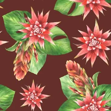 Tropical leaves, flowers seamless pattern Bromeliad red bud and leaf Watercolor Stock Illustration