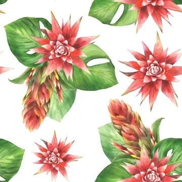 Tropical leaves, flowers seamless pattern. Bromeliad red bud, leaf. Watercolor Stock Illustration