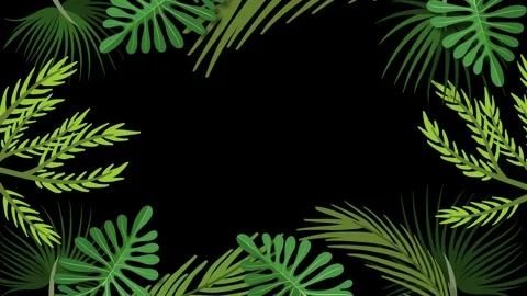Tropical Leaves Frame Border Template 库存影片 253371519