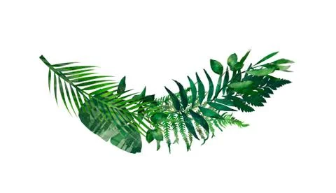 Tropical leaves frame. Circle frame. Watercolor illustration on white. Colorf Stock Illustration