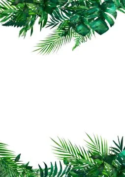 Tropical leaves frame. Circle frame. Watercolor illustration on white. Colorful Stock Illustration