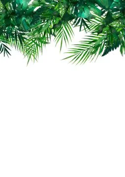 Tropical leaves frame. Circle frame. Watercolor illustration on white. Colorful Stock Illustration