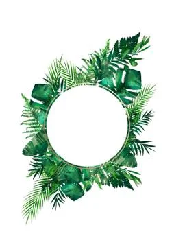Tropical leaves frame. Circle frame. Watercolor illustration on white. Colorful Stock Illustration