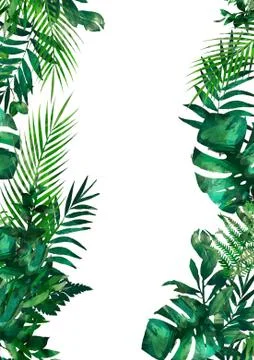 Tropical leaves frame. Circle frame. Watercolor illustration on white. Colorful Stock-Illustration